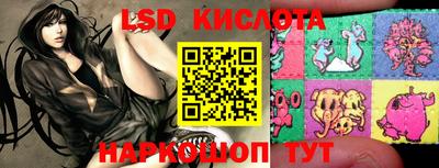 стафф Будённовск